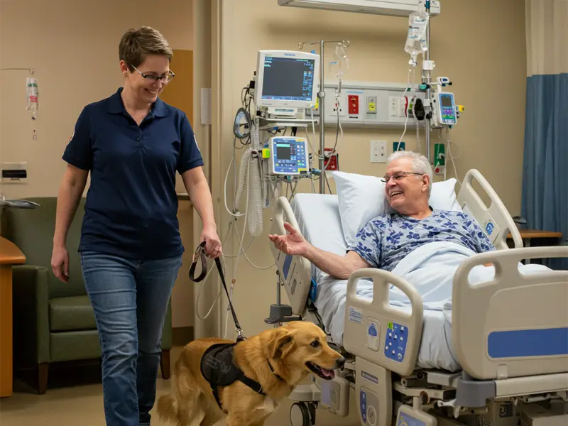 Certified Therapy Dog Teams