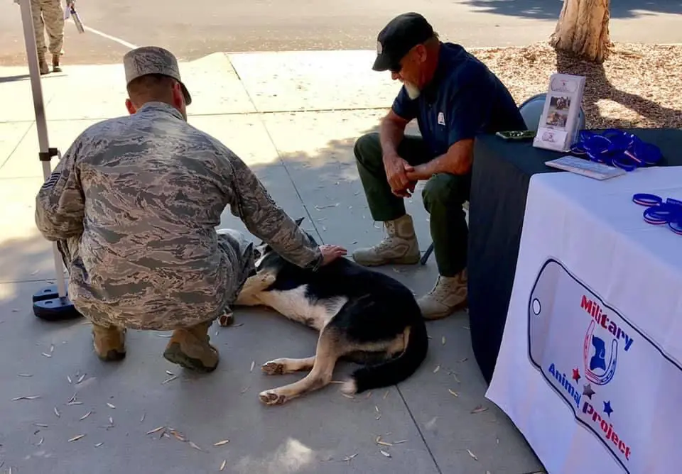 edited-IMG_7166 Veteran with Dog