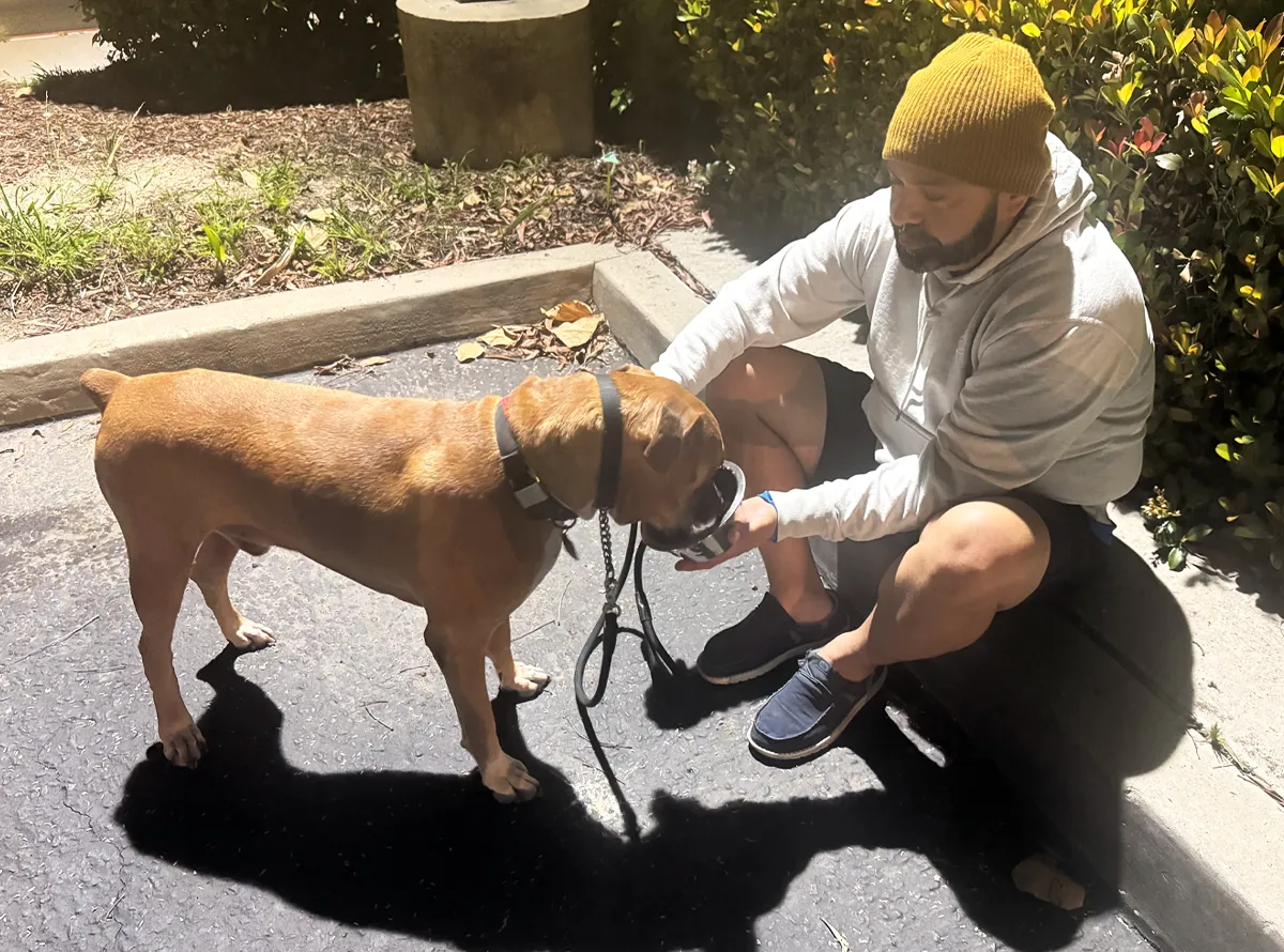 Macho resting with Manny